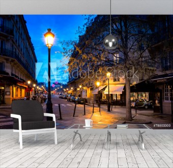 Picture of Paris beautiful street in the evening with lampposts